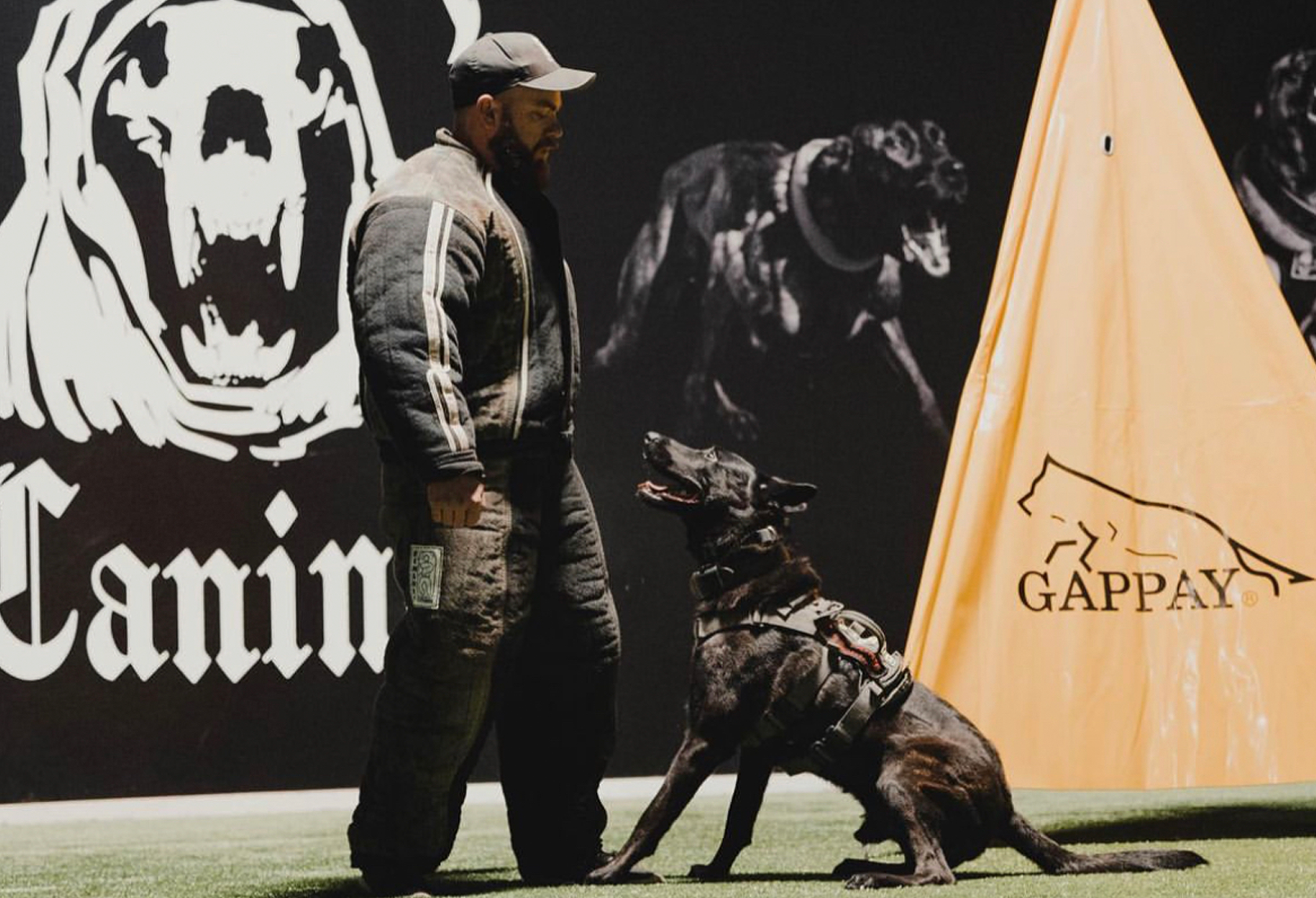 Unleashing Greatness: The Extraordinary Journey of Mike Jones and Primal Canine